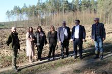 „Lasy na nowe 100-lecie” w Nadleśnictwie Herby