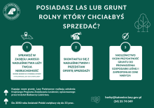 Informacja o chęci zakupu lasów i gruntów przeznaczonych do zalesienia